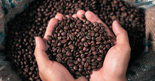 Kirenge Gold's dark roast coffee beans, perfect for a bold cup or espresso