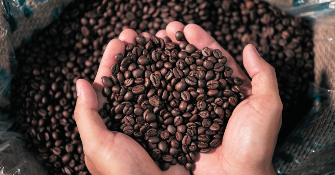 Kirenge Gold's dark roast coffee beans, perfect for a bold cup or espresso