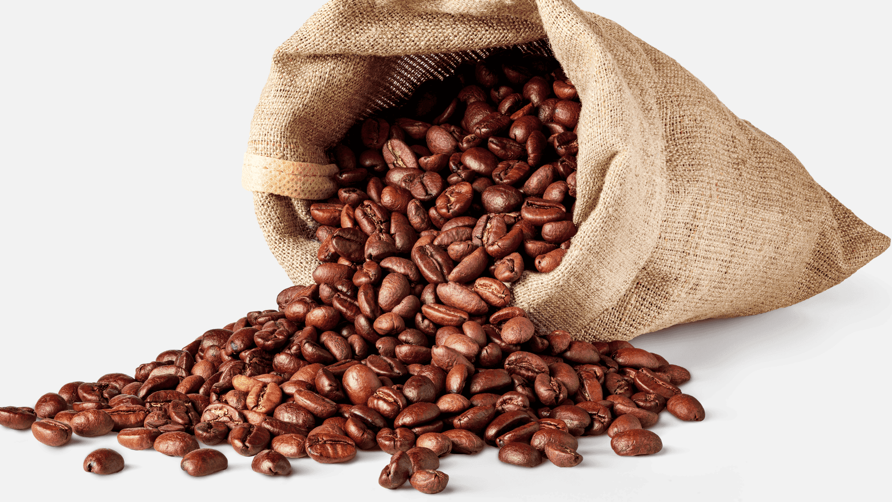 Why Kirenge Gold Kenya AA Coffee Is the Best Coffee Subscription You'll Ever Try - Kirenge Gold LLC