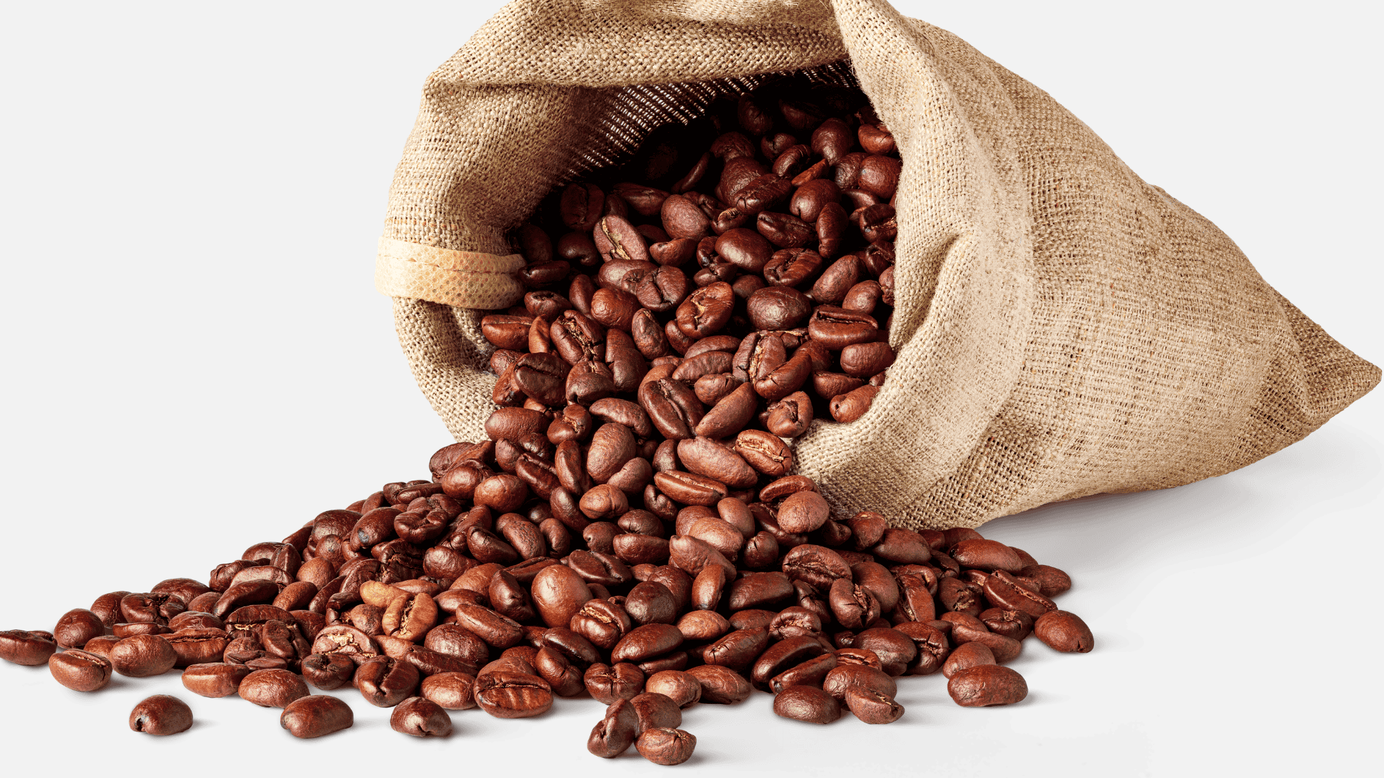 Why Kirenge Gold Kenya AA Coffee Is the Best Coffee Subscription You'll Ever Try - Kirenge Gold LLC