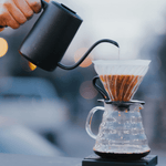 Kenya AA Light Roast Coffee - Kirenge Gold LLC